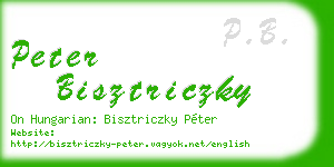 peter bisztriczky business card